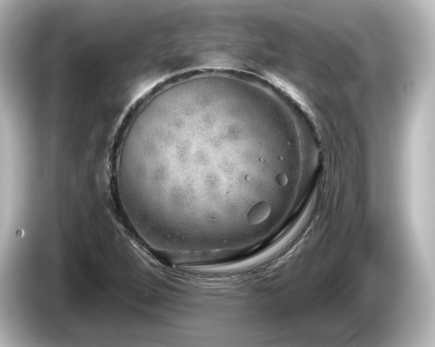 X0000085771264200703161134