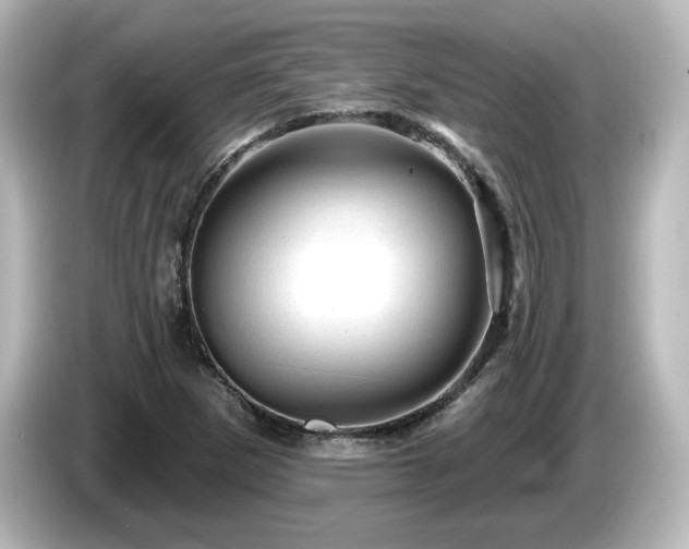 X0000085771265200703161134