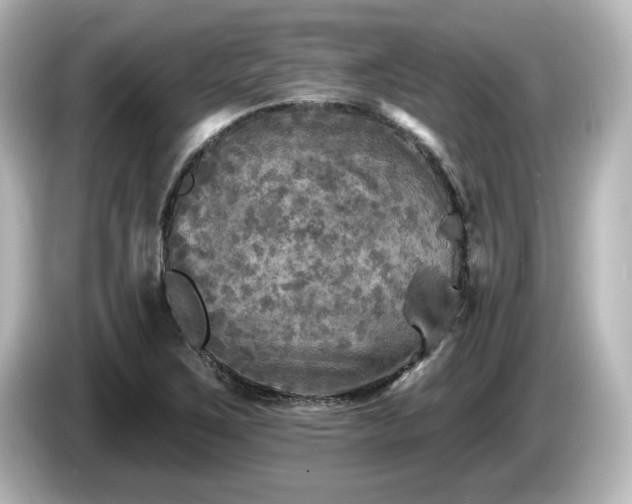 X0000085771267200703161134