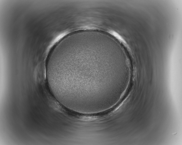 X0000085771269200703161134