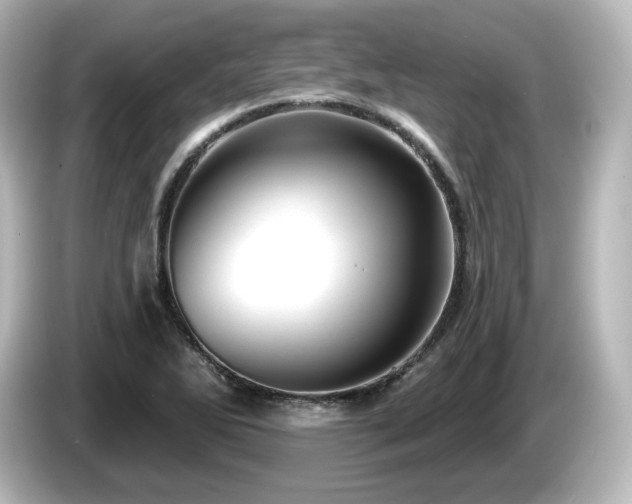 X0000085771270200703161134