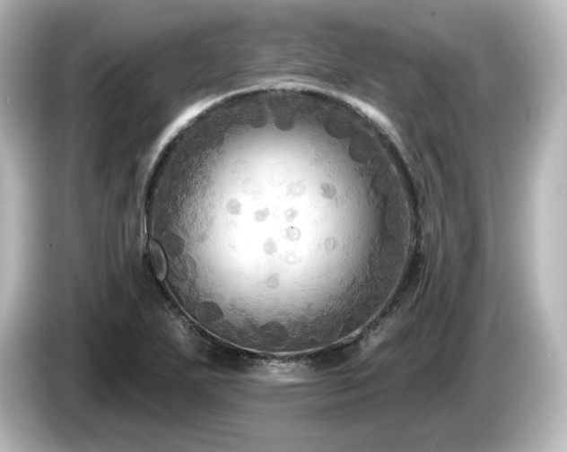 X0000085771271200703161134