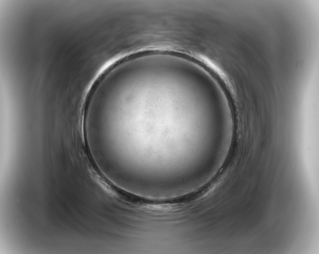 X0000085771272200703161134