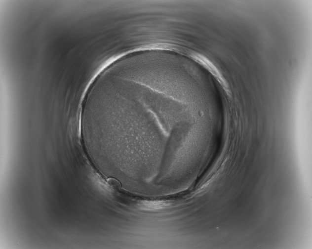 X0000085771276200703161134