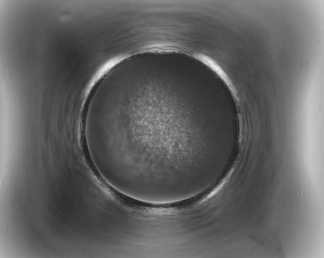 X0000085771277200703161134