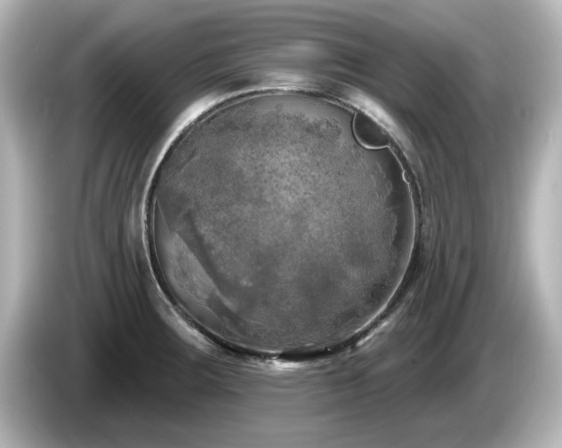 X0000085771283200703161133