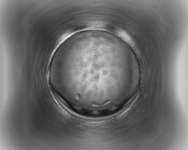 X0000085771284200703161133