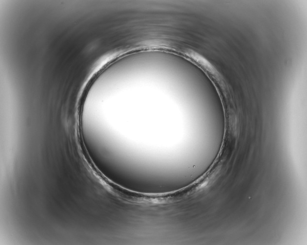 X0000085771286200703161133