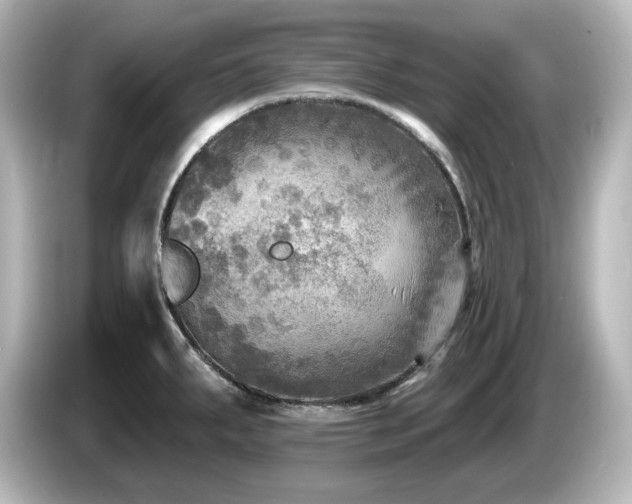 X0000085771287200703161133