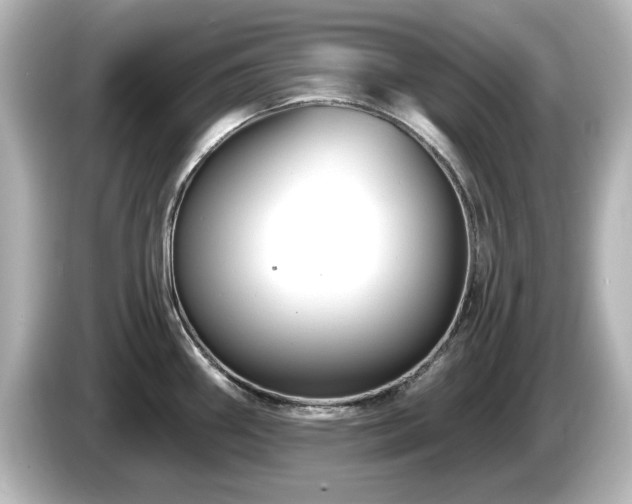 X0000085771290200703161133