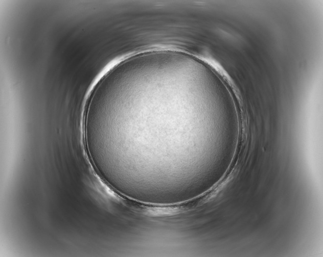 X0000085771294200703161133