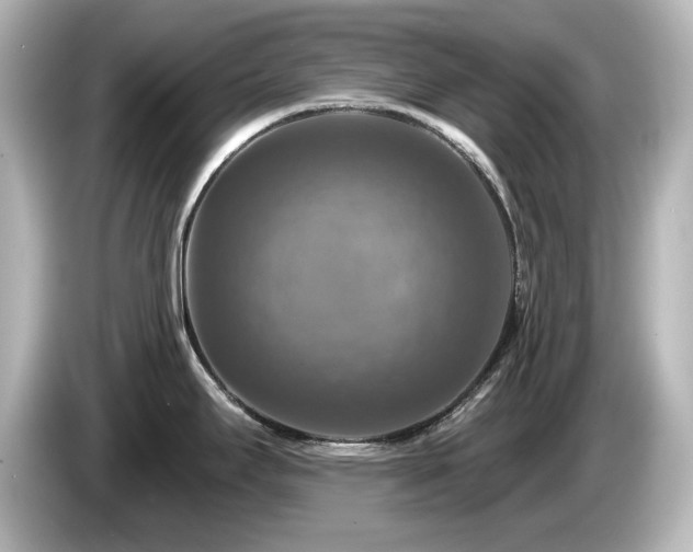 X0000085771295200703161133