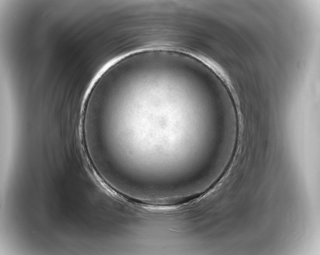 X0000085771296200703161133