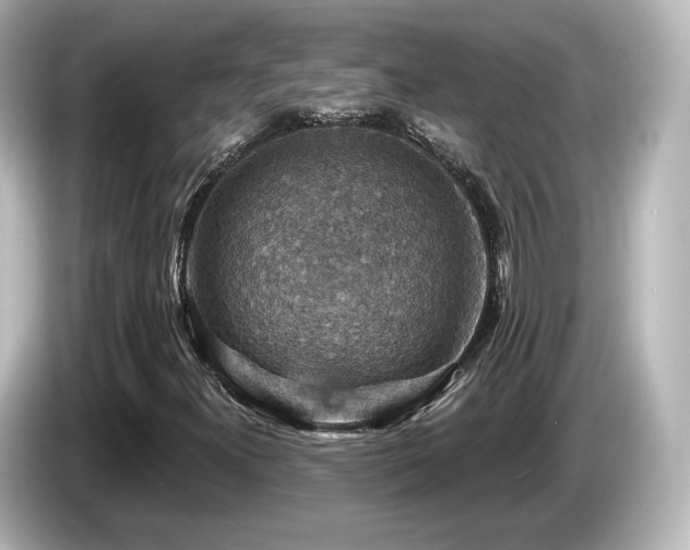 X0000085771300200703161132