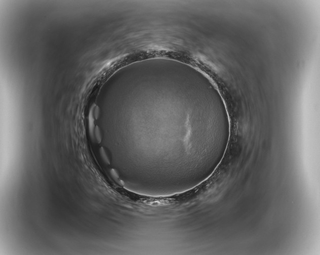 X0000085771303200703161132