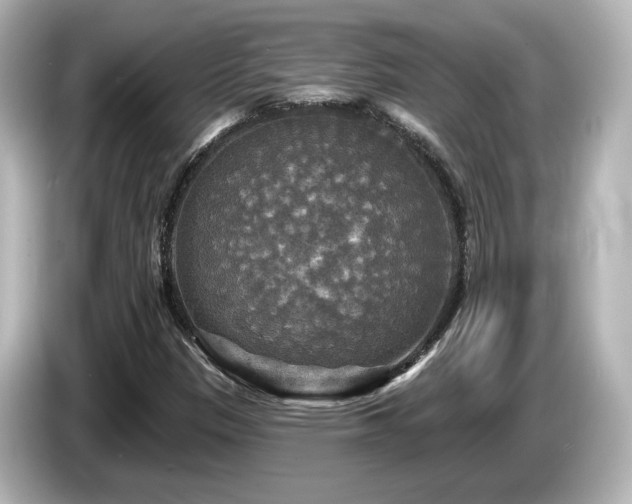 X0000085771305200703161133