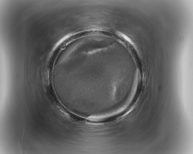 X0000085771310200703161133