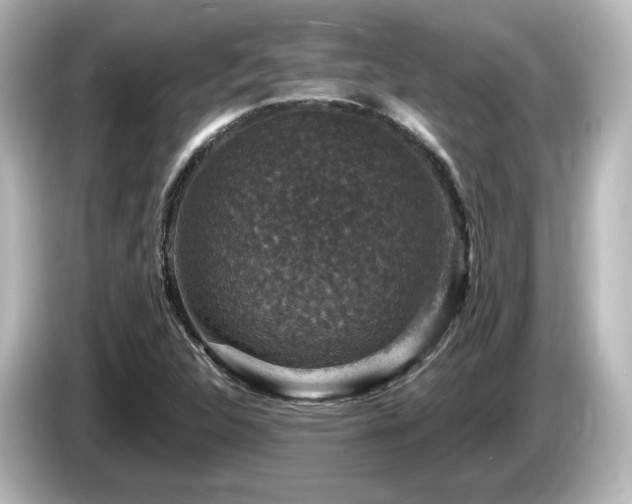 X0000085771312200703161133