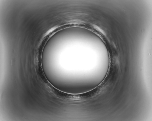 X0000085771315200703161133