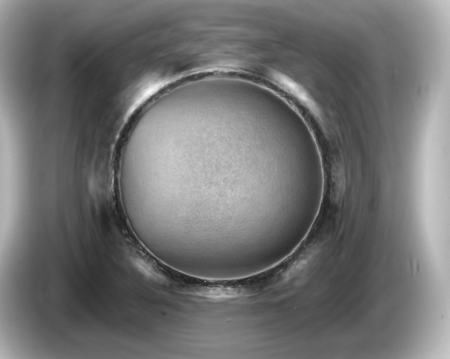 X0000085771316200703161133