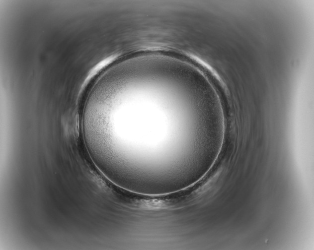 X0000085771317200703161133