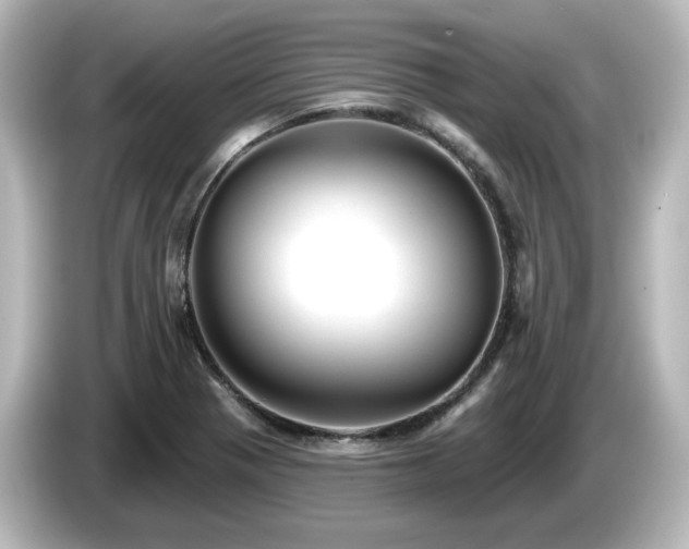 X0000085771321200703161133