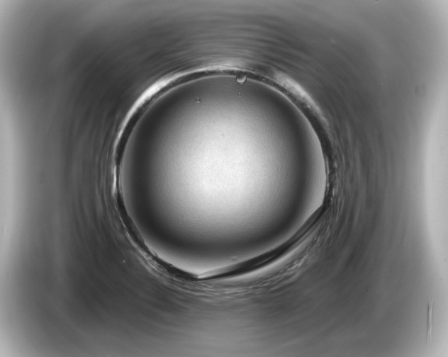 X0000085771324200703161133