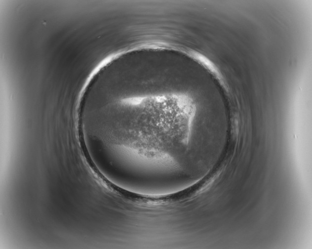 X0000085771326200703161133