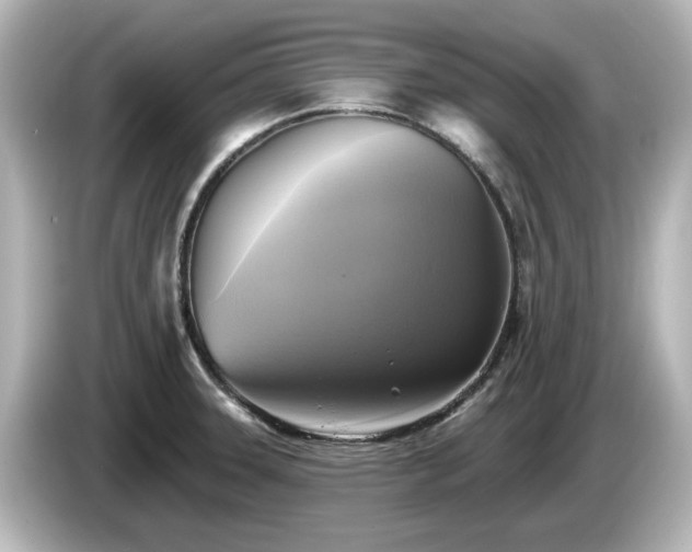 X0000085771331200703161133