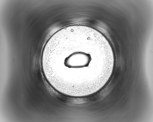 X0000085771338200703161133