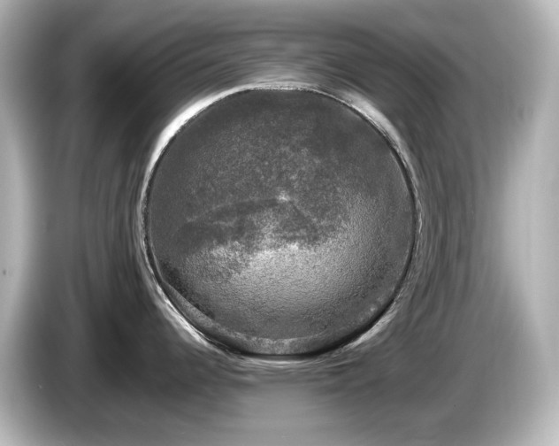 X0000085771344200703161133