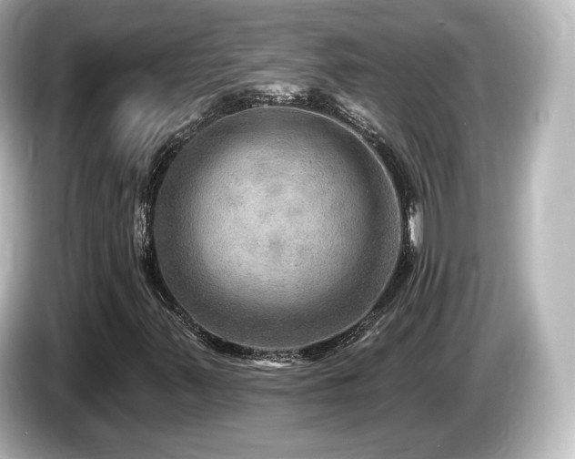 X0000085771347200703161132