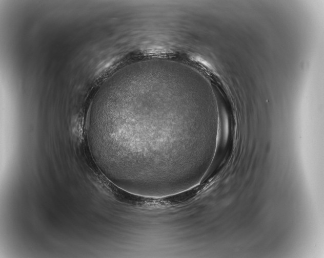 X0000085771348200703161132