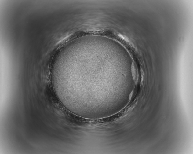 X0000085771350200703161132