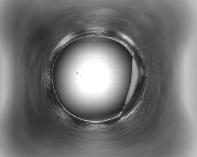 X0000085771354200703161132