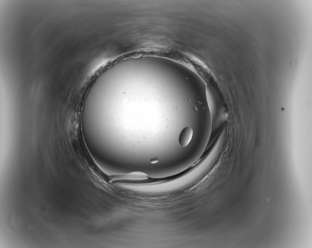 X0000085771355200703161132