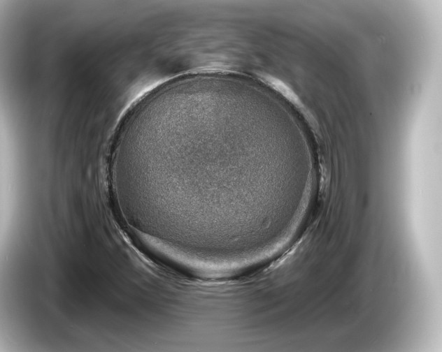 X0000085771356200703161132