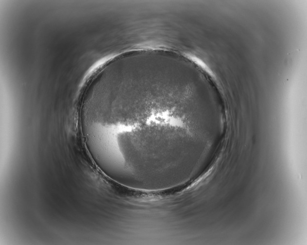 X0000085771358200703161132