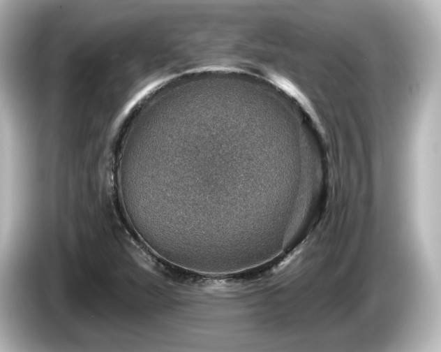 X0000085771360200703161132