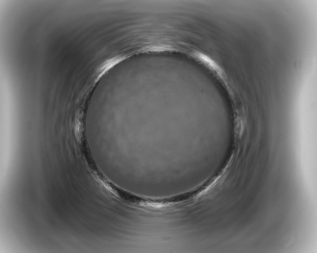 X0000085771361200703161132