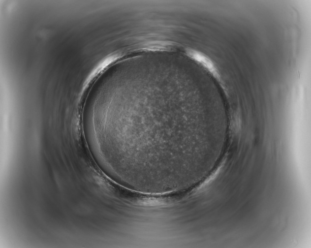 X0000085771362200703161132