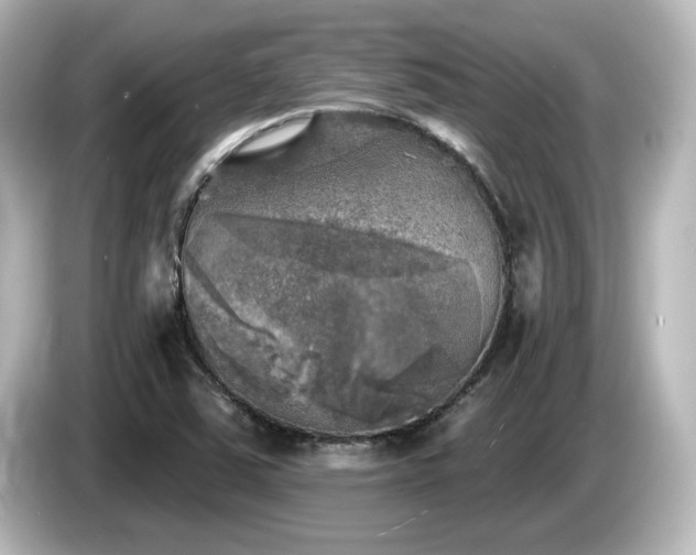 X0000085771363200703161132