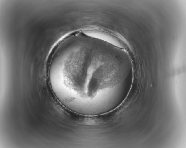 X0000085771364200703161132