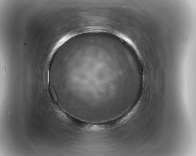 X0000085771365200703161132