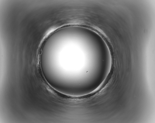 X0000085771366200703161132