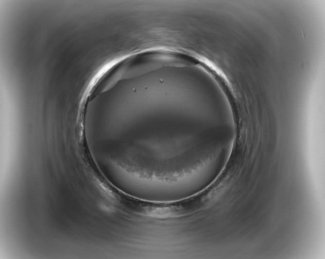 X0000085771367200703161132