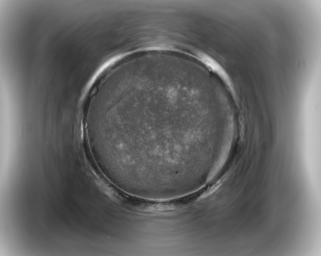 X0000085771368200703161132