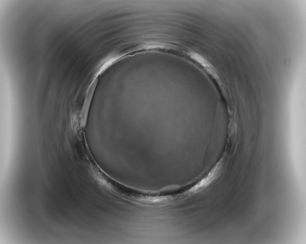 X0000085771369200703161132