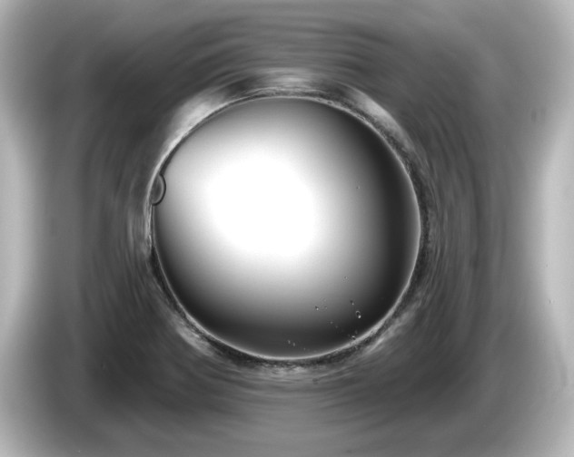 X0000085771370200703161132