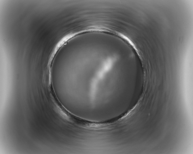 X0000085771371200703161132